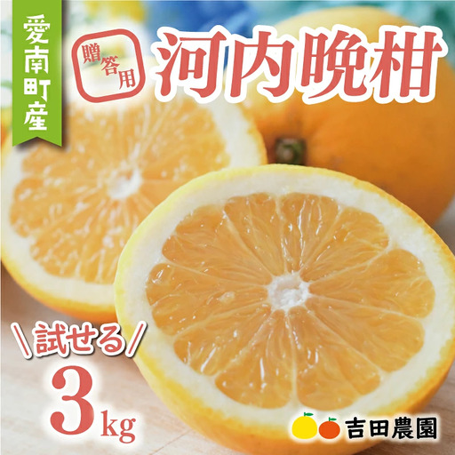 [先行予約] 贈答用 河内晩柑 愛南ゴールド 3kg 河内晩柑 吉田農園