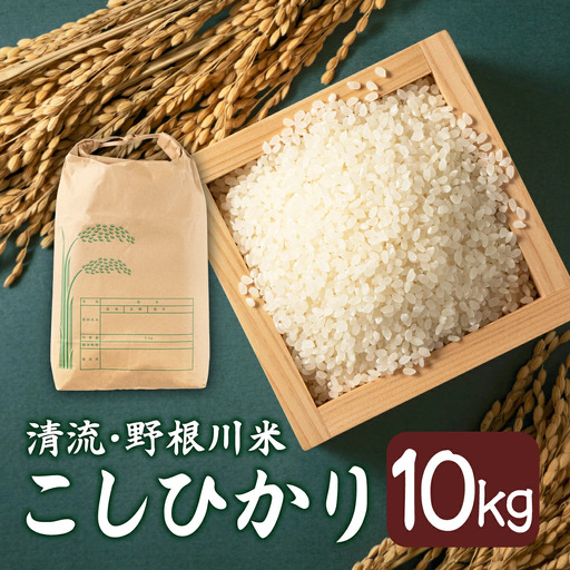 【先行予約】【令和8年度産】MZ001 野根川米10kg こしひかり