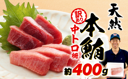 訳あり 天然 本鮪 中とろ 約400g 鮪