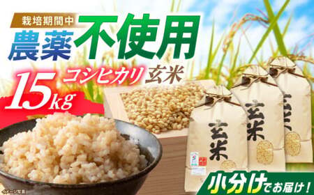 栽培期間中農薬不使用 特別栽培米 コシヒカリ玄米5Kg×３袋[AQBL006]こしひかり