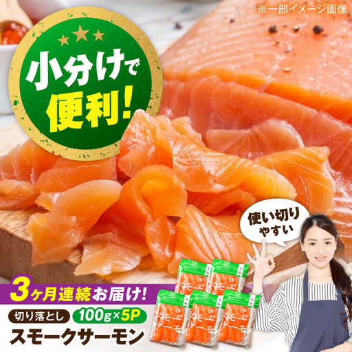 サーモン[全3回]スモークサーモン 100g×5[AQAJ020]