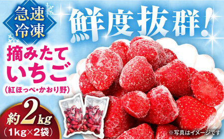 冷凍いちご 2kg[AQBT003] 冷凍イチゴ