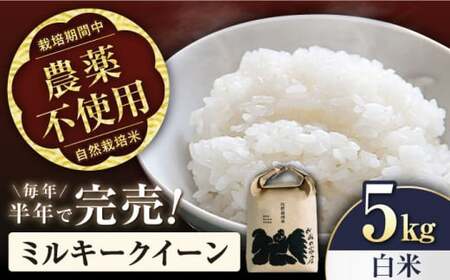 【先行予約】令和8年産 新米 ミルキークイーン 5kg 白米[AQCP004]