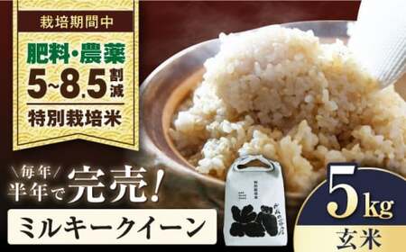 令和8年産 新米 ミルキークイーン 5kg 玄米 特別栽培米 [AQCP019]