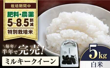 令和8年産 新米 米 ミルキークイーン 5kg 白米 特別栽培米 [AQCP020]