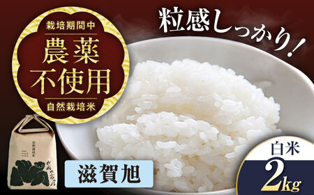 [先行予約]令和8年産 新米 滋賀旭 2kg 白米 [AQCP037]