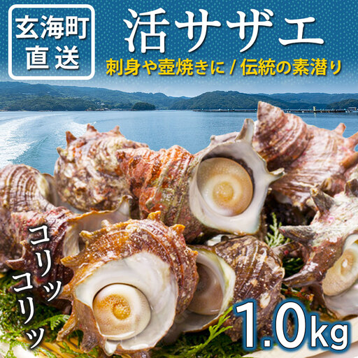玄海町産 活サザエ 1.0kg / 数量限定 壺焼き サザエ[A186]