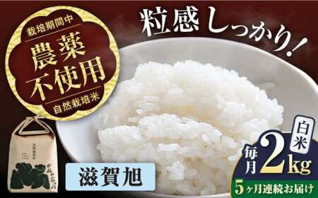[先行予約]令和8年産 新米 5回定期 滋賀旭 2kg白米 [AQCP044]
