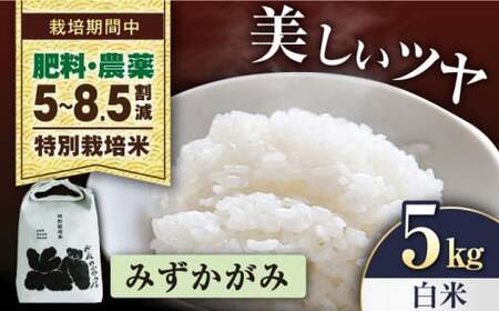 令和8年産 新米 特別栽培米みずかがみ 5kg白米[AQCP054]
