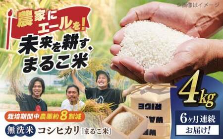 【全6回】近江米 コシヒカリまるこ米4kg（2kg×2）　無洗米 [AQCZ018] コシヒカリ