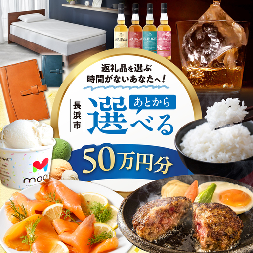 【あとから選べる】長浜市ふるさとギフト 50万円分[AQXX008] 選べるギフト