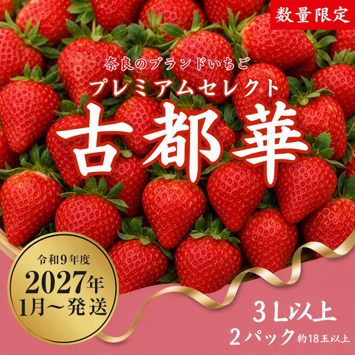 【2027年（令和9年）1月～発送】 いちご 苺 古都華プレミアムセレクト（２パック入り）甘い いちご 大粒 奈良県認証 めいとく農園