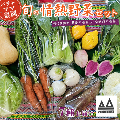 野菜 無農薬 農園自慢の情熱野菜セット 7種