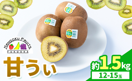 キウイ 甘うぃ 約1.5kg 南国フルーツ株式会社[26年度出荷][10月下旬-11月末頃出荷]福岡県 鞍手町 福岡県産 キウイ フルーツ キウイフルーツ 果物