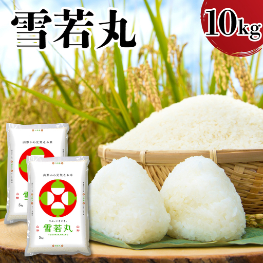 令和7年産 山形県産 雪若丸 10kg 精米 雪若丸
