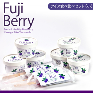 Fuji Berry アイス食べ比べセット（小） NSAA013