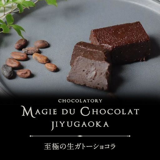 チョコレート専門店 MAGIE DU CHOCOLAT 至極の生ガトーショコラ スイーツ チョコレート 焼き菓子 ギフト_0010-003-se4