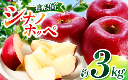 シナノホッペ 約3kg [2026年先行予約] | 浅野農園