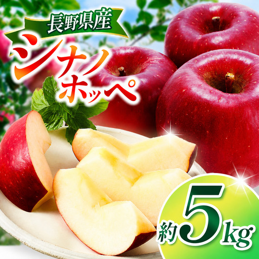 【2026年先行予約】シナノホッペ 約5kg | 浅野農園