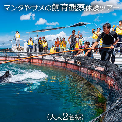 マンタやサメの飼育観察体験ツアー　【大人２名様】