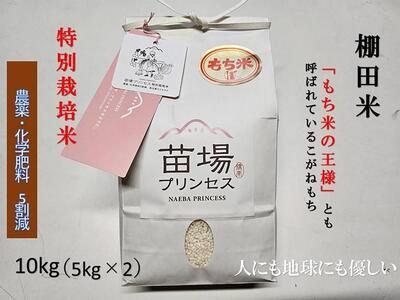 【令和8年産先行予約】魚沼産こがねもち 精米10kg（5kg×2）特別栽培米 農薬化学肥料5割減 |津南町 こがねもち