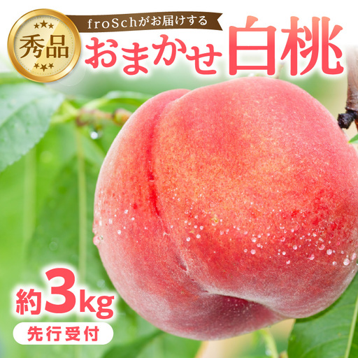 ≪先行受付≫ froSchがお届けするおまかせ白桃 約3kg 【2026年7月下旬より順次発送予定】 060-002