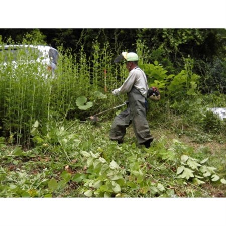 軽米町シルバー人材センターの草刈り作業(機械使用・2時間)サービス_草刈り 機械 作業 サービス 軽米_[配送不可地域:離島・沖縄県]