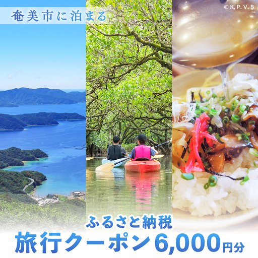 奄美市 に 泊まる ふるさと納税 旅行 クーポン【 6,000円 分 】 A184-002 割引券 ツアー 電子クーポン
