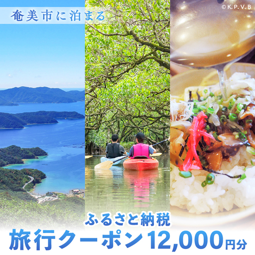奄美市 に 泊まる ふるさと納税 旅行 クーポン【 12,000円 分 】 A184-004 割引券 ツアー 電子クーポン