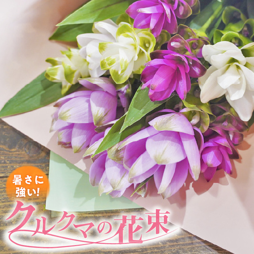 [暑さに強い花] クルクマの花束 クルクマ 花 紫 白 夏 敬老の日 贈り物 プレゼント フラワーギフト インテリア 雑貨