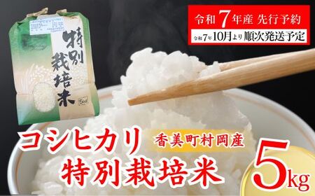 先行予約 令和7年産米 村岡産 コシヒカリ 特別栽培米 精米5kg 米 71-01