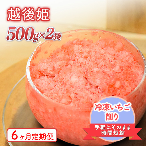【6ヶ月定期便】削りいちご 越後姫 500g×2袋 いちご フルーツ
