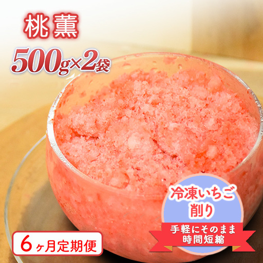 【6ヶ月定期便】削りいちご 桃薫 500g×2袋 いちご フルーツ