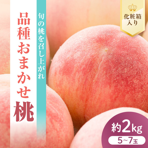 先行予約 数量限定 令和8年産 もも 約2kg 品種 おまかせ 桃