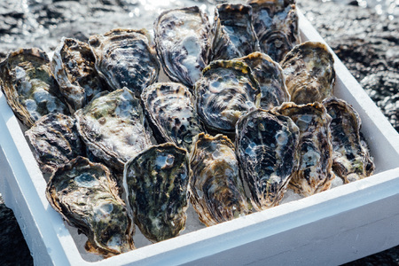 [予約商品]牡蠣 広島 殻付き牡蠣(13個〜15個) 矢野水産[配送不可:離島][配送時期:2027年1月上旬〜2027年4月上旬]