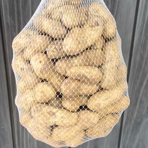 【予約商品】掘りたて　おおまさり　生落花生　1kg　栽培期間中農薬不使用【配送時期：9月下旬～10月中旬】
