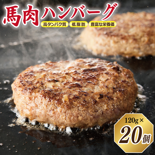 桜文 馬肉ハンバーグ 総量2.4kg（120g×20個） 個包装