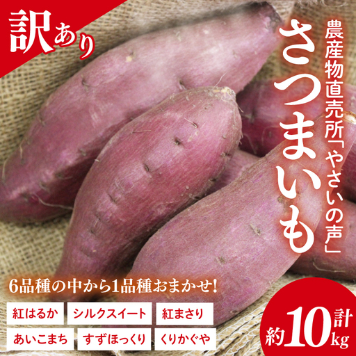 農産物直売所「やさいの声」★訳あり★さつまいも(品種おまかせ) 約10kg｜さつまいも 芋 サツマイモ 訳あり わけあり ワケアリ おまかせ 10kg 紅はるか シルクスイート すずほっくり くりかぐや あいこまち(EK-15)