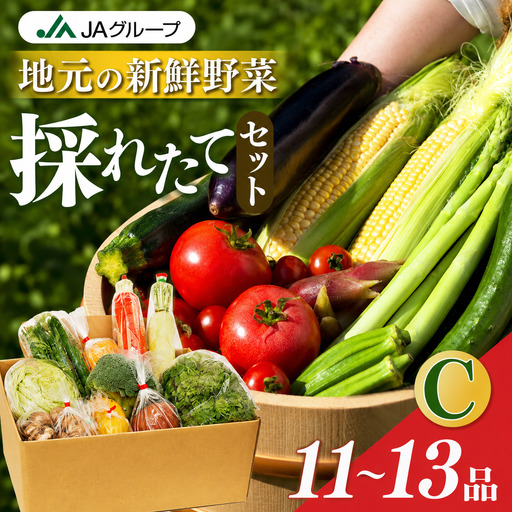 季節の野菜セットC | 詰め合わせ 果物 新鮮 お試し おすすめ 冬 春 夏 秋 国産 奈良県 五條市