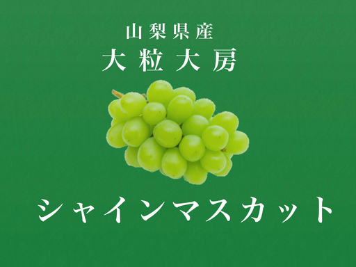 ＜2026年発送先行予約＞大粒大房！山梨県産シャインマスカット 1房 ALPDS006