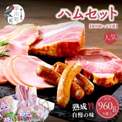 早川町ハム 工房セット