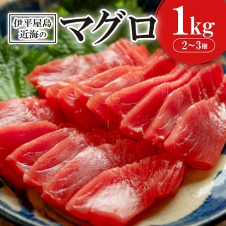 伊平屋島近海のマグロ1kg(マイナス60℃急速冷凍)【配送不可地域：離島】【1497092】