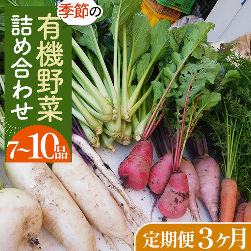 [有機野菜の定期便3ヶ月]ガバレ農場の季節の有機野菜詰め合わせセット No.527