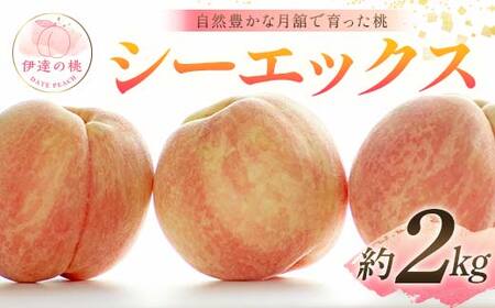 【2026年出荷分先行予約】福島県産 シーエックス 約2kg (5～8玉) 森果樹園 自然豊かな月舘で育った桃 伊達の桃 桃 フルーツ 果物 もも モモ momo F21C-230