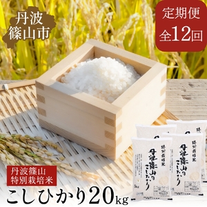 コシヒカリ〈12回定期便〉特A 特別栽培米 コシヒカリ 精米 20kg 定期便