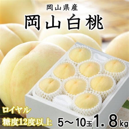【先行受付】岡山白桃 ロイヤル 5～10玉 1.8kg 岡山県産【配送不可地域：離島・北海道・沖縄県】【1305703】