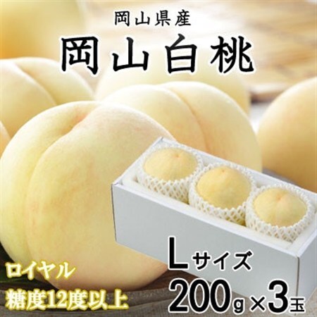 [先行受付]岡山白桃 ロイヤル 3玉×200g (Lサイズ) 岡山県産[配送不可地域:離島・北海道・沖縄県]