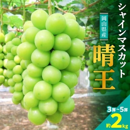 【2026年発送】岡山名産【晴王】シャインマスカット2kg!8月下旬以降順次発送【配送不可地域：離島】【1365277】