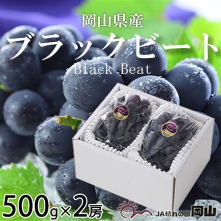 【先行受付】岡山県産　ブラックビート　500g×2房【配送不可地域：離島・北海道・沖縄県】【1400524】