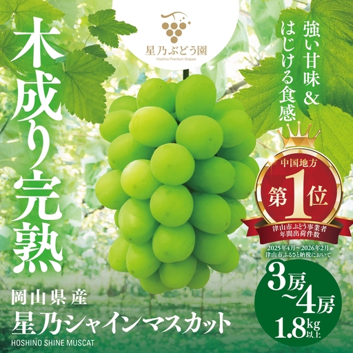 先行受付[三つ星ぶどう]星乃シャインマスカット (3房〜4房 1.8kg以上) 岡山県産[配送不可地域:離島・北海道・沖縄県]